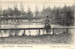 Vintage Postcard Horse Horsemanship Equestrian sports Camp of Waterloo Feeding trough of the Militaria horses