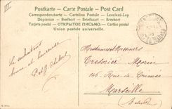 Vintage Postcard Fantasy Flowers Year 1906