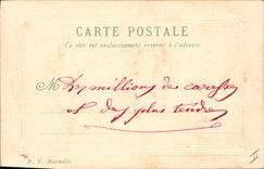 CPA Fantaisie Fleurs Annee 1904 