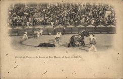 Postal Corrida Corrida de toros se levanto EL Toro muerto AL Toril