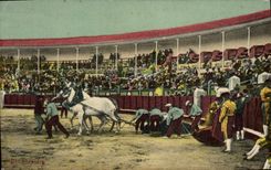 CPA Corrida Course de taureaux El arrastre 