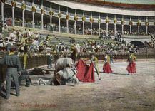 CPA Corrida Course de taureaux Quite de Cabatio 