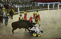 Postal Corrida Corrida de toros Calida del picador