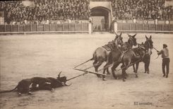 CPA Corrida Course de taureaux El arrastre 