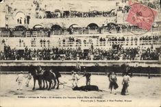 CPA Corrida Course de taureaux Nimes Corrida de toros El arrastro 