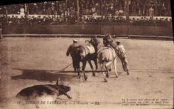 CPA Corrida Course de taureaux L'arrastre 