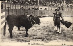 CPA Corrida Course de taureaux Apres l'estocade 