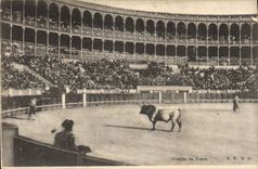 CPA Corrida Course de taureaux 