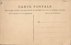 CPA Fantaisie Fleurs Main Colombe 