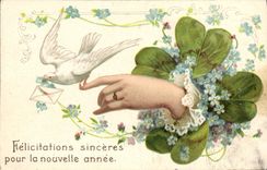 CPA Fantaisie Fleurs Main Colombe Trefle 