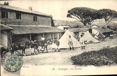 CPA Cheval Equitation Hippisme Campagne Les Ecuries 