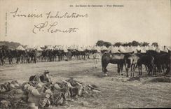 CPA Cheval Equitation Hippisme Le camp de Cercottes Vue generale Militaria 