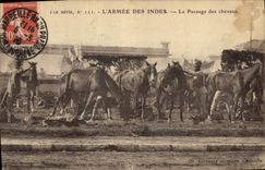 CPA Cheval Equitation Hippisme L'armee des Indes Le pansage des chevaux Militaria 
