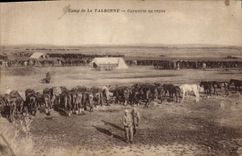 Vintage Postcard Horse Horsemanship Equestrian sports Camp of Valbonne Cavalry at Militaria rest