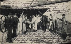 Vintage Postcard Horse Horsemanship Equestrian sports Fontainebleau Militaria Dragons