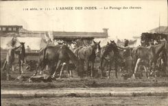 CPA Cheval Equitation Hippisme L'armee des Indes Le pansage des chevaux Militaria 