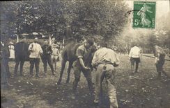 CARTE PHOTO Cheval Equitation Hippisme Ferronnerie Forge 