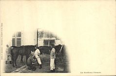 Vintage Postcard Horse Horsemanship Equestrian sports the marshal shoeing Militaria
