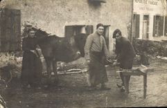 CARTE PHOTO Cheval Equitation Hippisme 