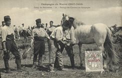 CPA Cheval Equitation Hippisme Campagne du Maroc 1907 1908 Camp du boucheron Ferrage des chevaux en campagne Militaria 