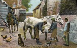Vintage Postcard Horse Horsemanship Equestrian sports In the Marshal Shoeing Militaria Publicity Akesol Muzi Laboratory Akesol Muzi Sarlat the Dordogne Militaria SIGNAL