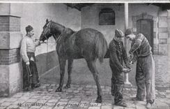 Vintage Postcard Horse Horsemanship Equestrian sports Cuirassiers the marshal shoeing Militaria