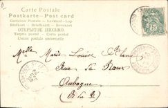 CPA Fantaisie Fleurs Annee 1904 Trefles 