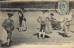 CPA Corrida Course de taureaux Nimes Les arenes La mise a mort 