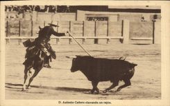 CPA Corrida Course de taureaux D Antonio Cafiero clavando un rejon 