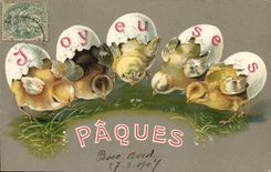 CPA Fantaisie Poussins Paques 