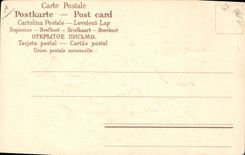 Vintage Postcard Fantasy Woman Shepherd