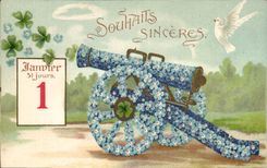 Vintage Postcard Fantasy Flowers Canon Dove Clover