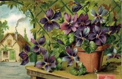 CPA Fantaisie Fleurs 