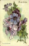 Vintage Postcard Fantasy Flowers Fulgens Anemones