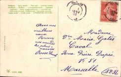 CPA Fantaisie Fleurs Bonne annee 