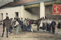 Vintage Postcard Horse Equestrian sports Horsemanship pleasures of the barracks the forging mill Militaria Blacksmith