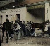 CPA Cheval Hippisme Equitation Les plaisirs de la caserne La forge Forgeron Militaria 