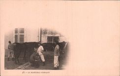 Vintage Postcard Horse Equestrian sports Horsemanship the Shoeing Marshal