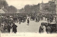 Vintage Postcard Horse Equestrian sports Caen Horsemanship Market with the horses