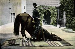 CPA Cheval Hippisme Equitation 