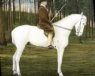 CPA Cheval Hippisme Equitation 