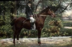 CPA Cheval Hippisme Equitation 