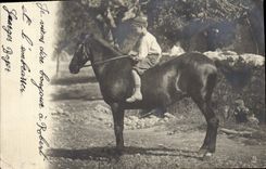 CARTE PHOTO Cheval Hippisme Equitation 