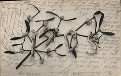 CPA Fantaisie Fleurs Annee 1905