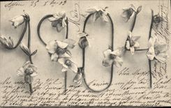 CPA Fantaisie Fleurs Annee 1904