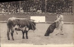 Postal Corrida Corrida de toros lo entrado a Mator