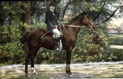 CPA Cheval Hippisme Equitation 