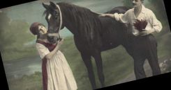 CPA Cheval Hippisme Equitation 