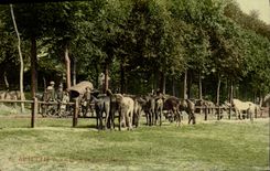 Vintage Postcard Cheval Equestrian sports Beauvais Horsemanship the Place of the Franc Goes