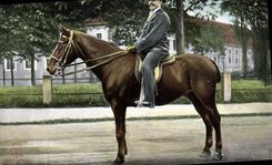 CPA Cheval Hippisme Equitation 